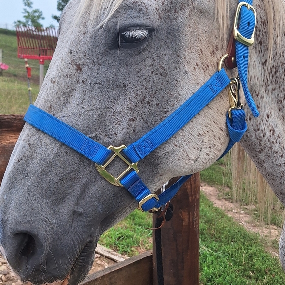 Meet your Posher, Linda - Picture 2 of 3